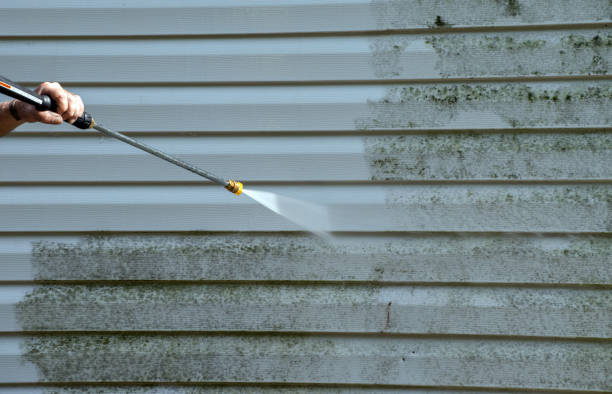 Best Fence Cleaning  in Goliad, TX